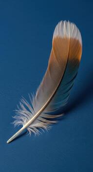 soltero pluma con intrincado modelo en un oscuro azul antecedentes foto