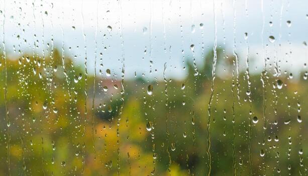 Rain drops on window glass with blurred green and yellow foliage outside, creating calm and reflective mood on rainy day photo