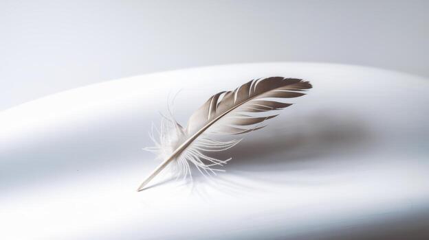 Elegant feather resting on a smooth surface, soft lighting, white background. photo