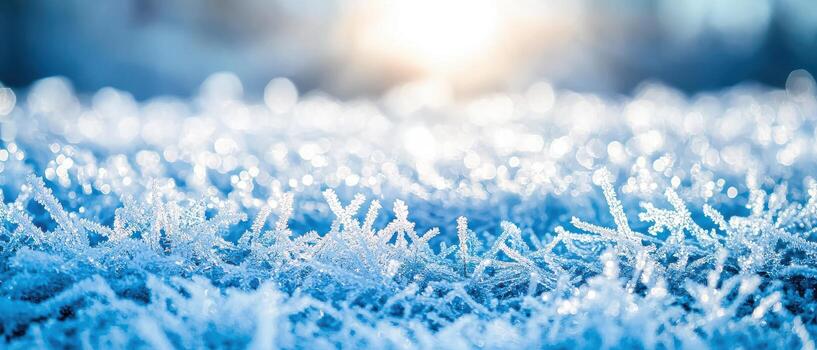 Frost-covered ground, sparkling under sunlight, creating a chilly yet beautiful landscape. photo