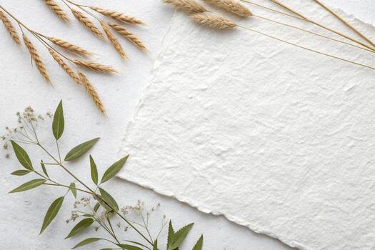Paper, wheat and grass on a white background photo