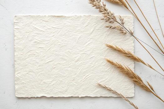 A piece of white paper with dried wheat on a white background photo
