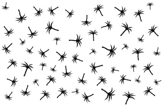 Palm tree background design on white background vector