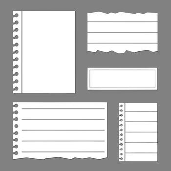 Torn White Paper Sheets Notebook Notepads Gray Background vector