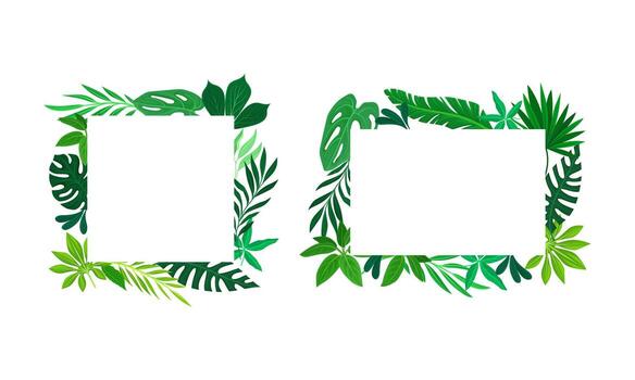 Two square frames with green leaves on them vector