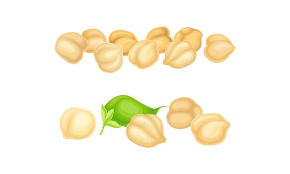 Peanuts and nuts on a white background vector