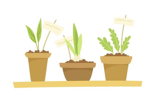 Three pots with plants and labels on them vector