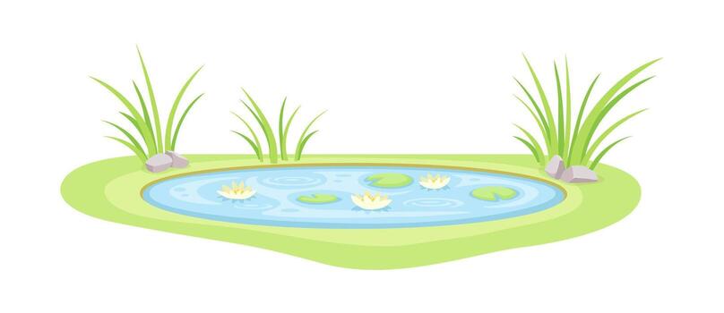 illustration of a pond with lily pads and grass vector