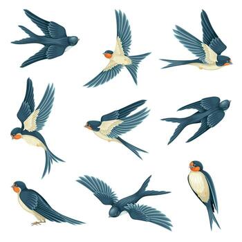 Swallow or Martin Passerine Bird with Long Tail and Pointed Wings Flying and Gliding Set vector