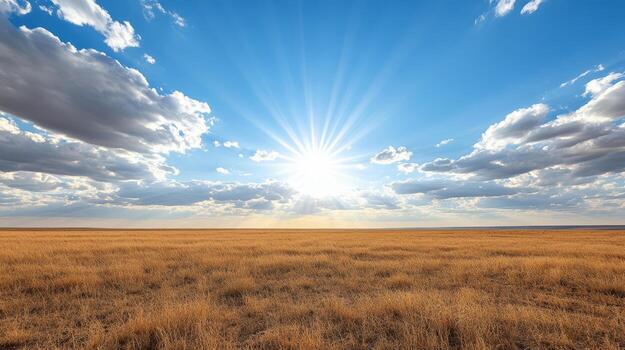 A field with grass and sun in the sky photo