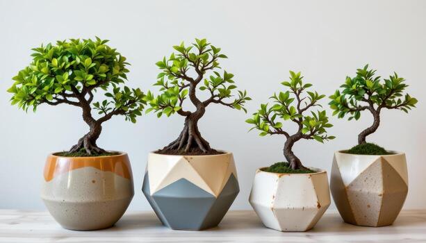 un línea de cerámico ollas con geométrico diseños participación bonsai árboles, creando un equilibrado moderno onda. foto