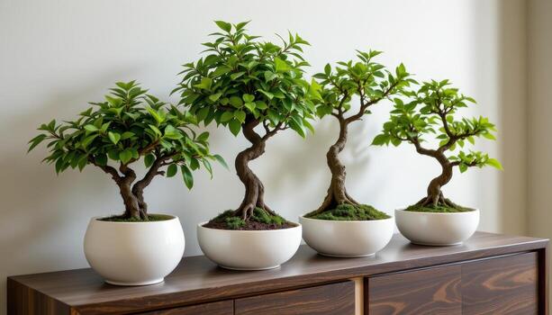 white ceramic pots arranged in a row, each holding bonsai trees on a sleek contemporary console. photo