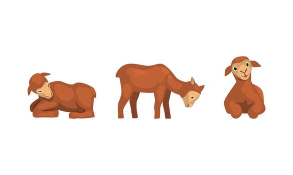 Three different animals in different poses vector
