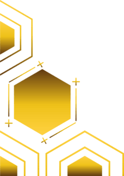 Elegant Golden Hexagon Outline Decoration png