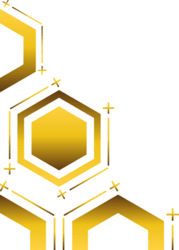 Luxury Hexagon Gold Frame Border Template png