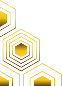 Premium Gold Hexagon Frame Border Art png