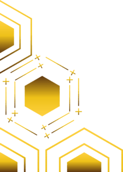 Elegant Gold Hexagon Frame Decoration Template png