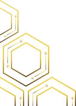 Luxury Hexagonal Gold Frame Decoration png