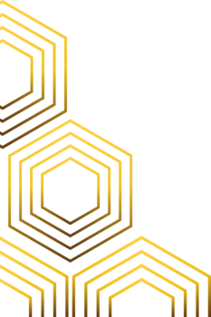 Elegant Hexagon Gold Frame Outline png