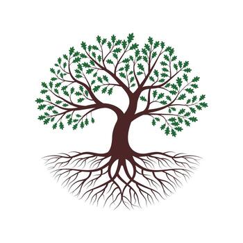 Detailed Oak Tree Logo with Roots vector