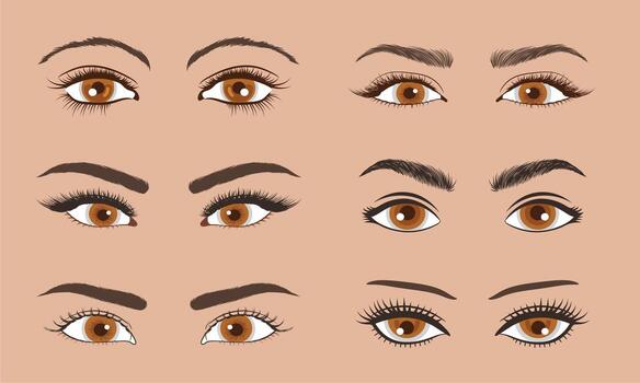 collection of eyes with various eyebrow shapes and styles illustration design vector