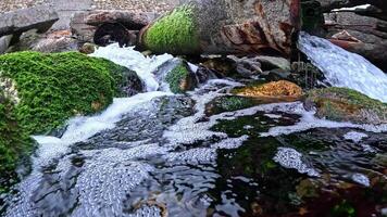Fresh spring water flows in a powerful stream from an old rusty pipe into the Black Sea, Odessa. video