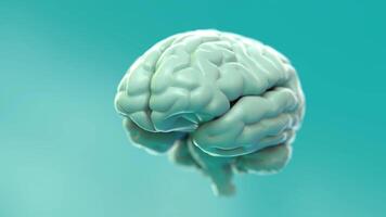 Calm Neural Network Expansion 3D Visualization of Mental and Cognitive Health horizontal video