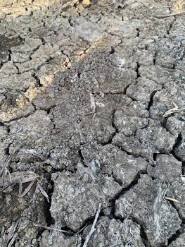 soil dried cracked on background photo