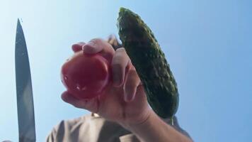 en kock arbetssätt utomhus skickligt skivor en mogen gurka in i små delar med en skarp kniv. låg vinkel. video