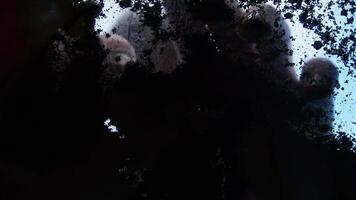 en man, i en skynda, gräver genom de jord med hans händer, sökande för de nyckel till en dold plats. han finner den och tar bort Det. video