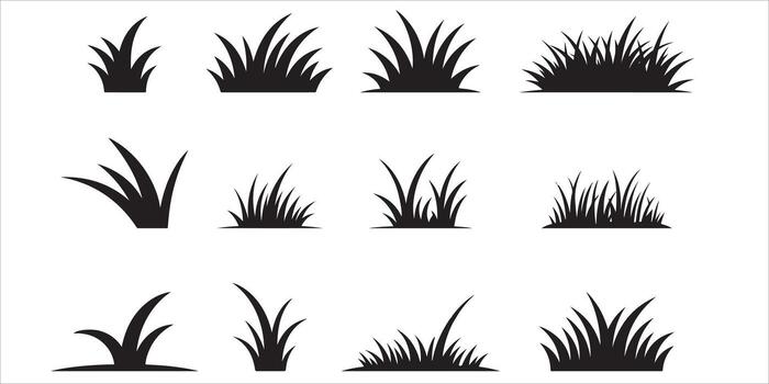 Set of grass tuft silhouettes isolated on white background for design element vector
