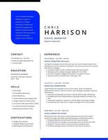Minimalist Blue White Digital Marketer Resume template