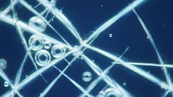 senza soluzione di continuità ciclo continuo di un astratto scienza sfondo con bolle fluente attraverso un' molecolare o neurale Rete struttura. video