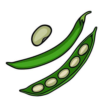 A vibrant illustration showcasing a single green bean pod, an open pod revealing several beans, and a separate bean, all rendered in a hand drawn style with bold outlines and a playful touch. vector