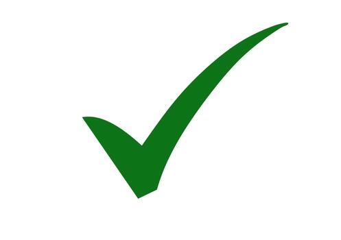 Green Check Mark Symbol, Approval Choice, Digital Interface, Confirmation Concep vector