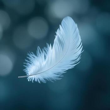 Soft White Feather Floating Gracefully Against a Blue Background photo