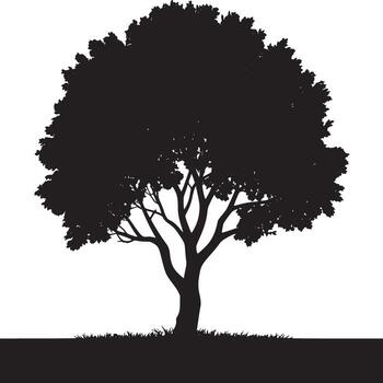 A silhouette of a full tree with a leafy crown and visible branches against a white background space vector