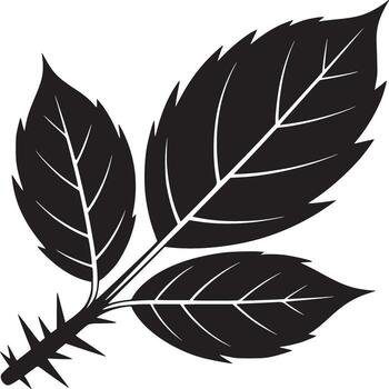 A black and white illustration of a thorny stem with three leaves on a white background design element vector