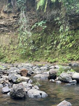 Nature View Pakse photo