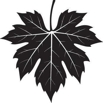 Illustration of a single black maple leaf with white veins on a white background in a simple design vector