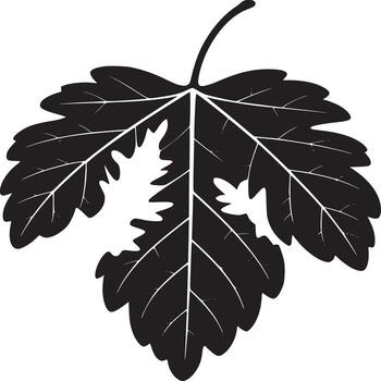 aislado negro hoja con blanco las venas y un desaparecido sección en un blanco antecedentes en un minimalista estilo vector