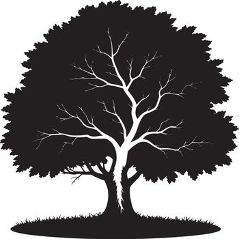 silueta de un árbol con denso follaje y visible ramas en contra un blanco antecedentes en monocromo vector