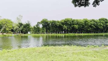 Peaceful Lake Surrounded by Lush Green Trees and Grassy Shore video