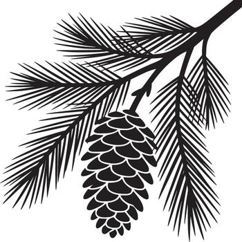 A black and white illustration of a pine branch with needles and a pine cone hanging from the branch vector