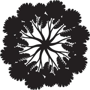 Top down view of a tree silhouette with branches radiating outward forming a circular canopy shape vector