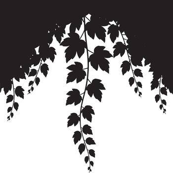 Silhouette of hanging leaves and branches against a bright white background creating a stark contrast vector
