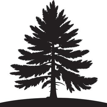 silueta de un pino árbol con distinto ramas en contra un blanco antecedentes en un minimalista estilo vector