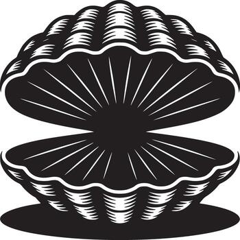 Isolated black and white illustration of an open seashell with detailed ridges and radial lines inside vector