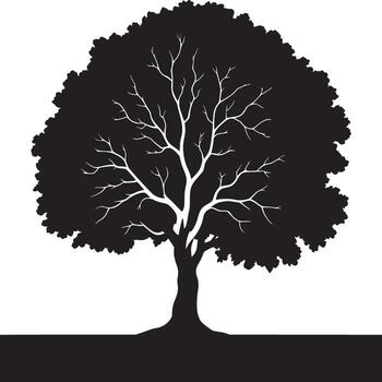 monocromo silueta de un árbol con desnudo ramas en contra un blanco antecedentes en un sencillo ilustración vector
