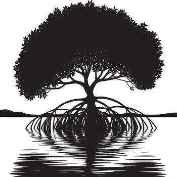 Silhouette of a mangrove tree with roots extending into the water creating a mirrored reflection vector